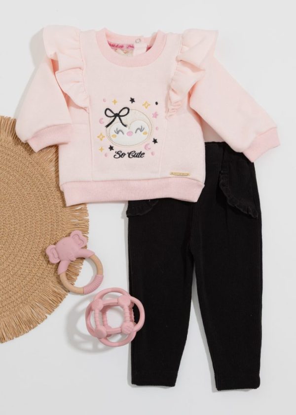 Conjunto Bebê Moletom Bordado Pinguim Com Calça Veludo