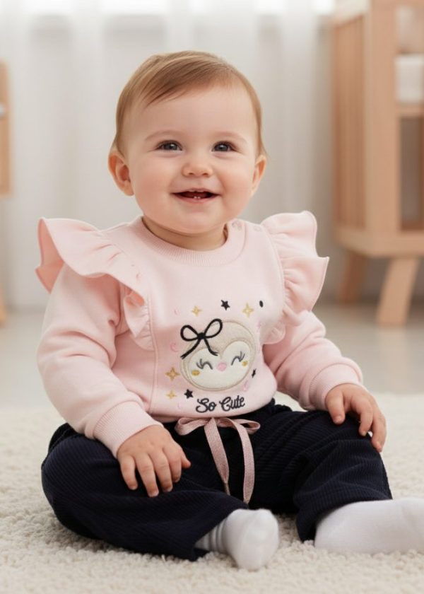 Conjunto Bebê Moletom Bordado Pinguim Com Calça Veludo
