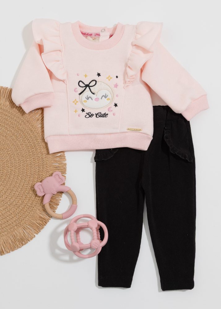 Conjunto Bebê Moletom Bordado Pinguim Com Calça Veludo